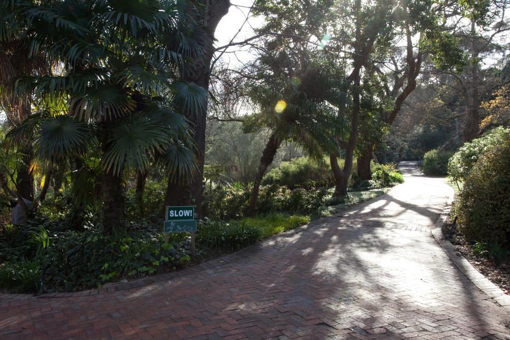 Viettz Suite Stellenbosch Ngoại thất bức ảnh